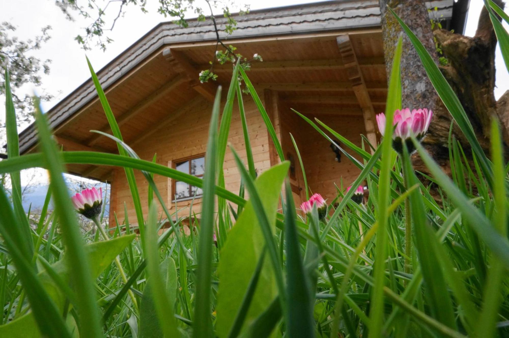 Ferienhaus Mandlhof Weer Esterno foto