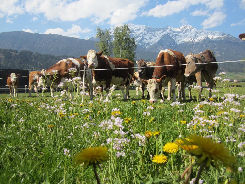 Ferienhaus Mandlhof Weer Esterno foto